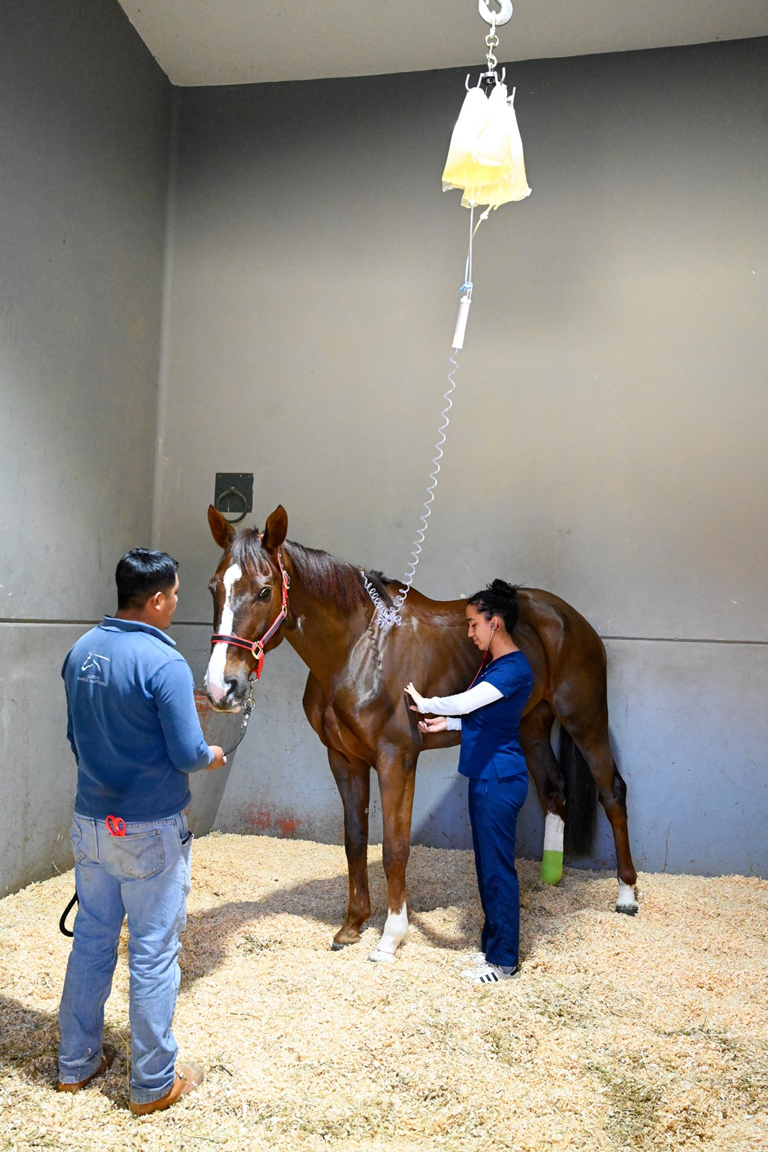 01_Hospitalizacion_Centro_Medico_Equino_Rancho_Santa_Rosa_Web_2025