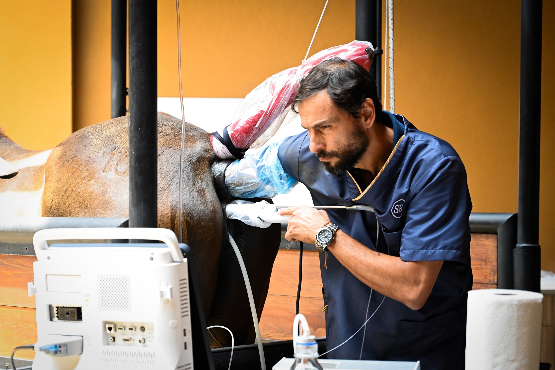 01_ICSI_Reproduccion_Equino_Rancho_Santa_Rosa_Web_2025