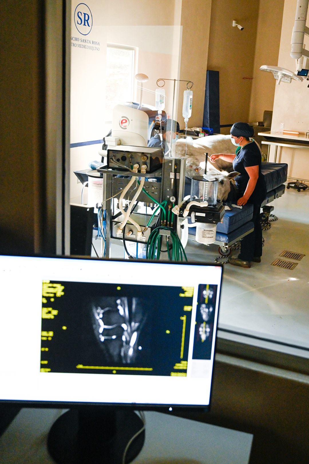 01_Imagenologia_Centro_Medico_Equino_Rancho_Santa_Rosa_Web_2025