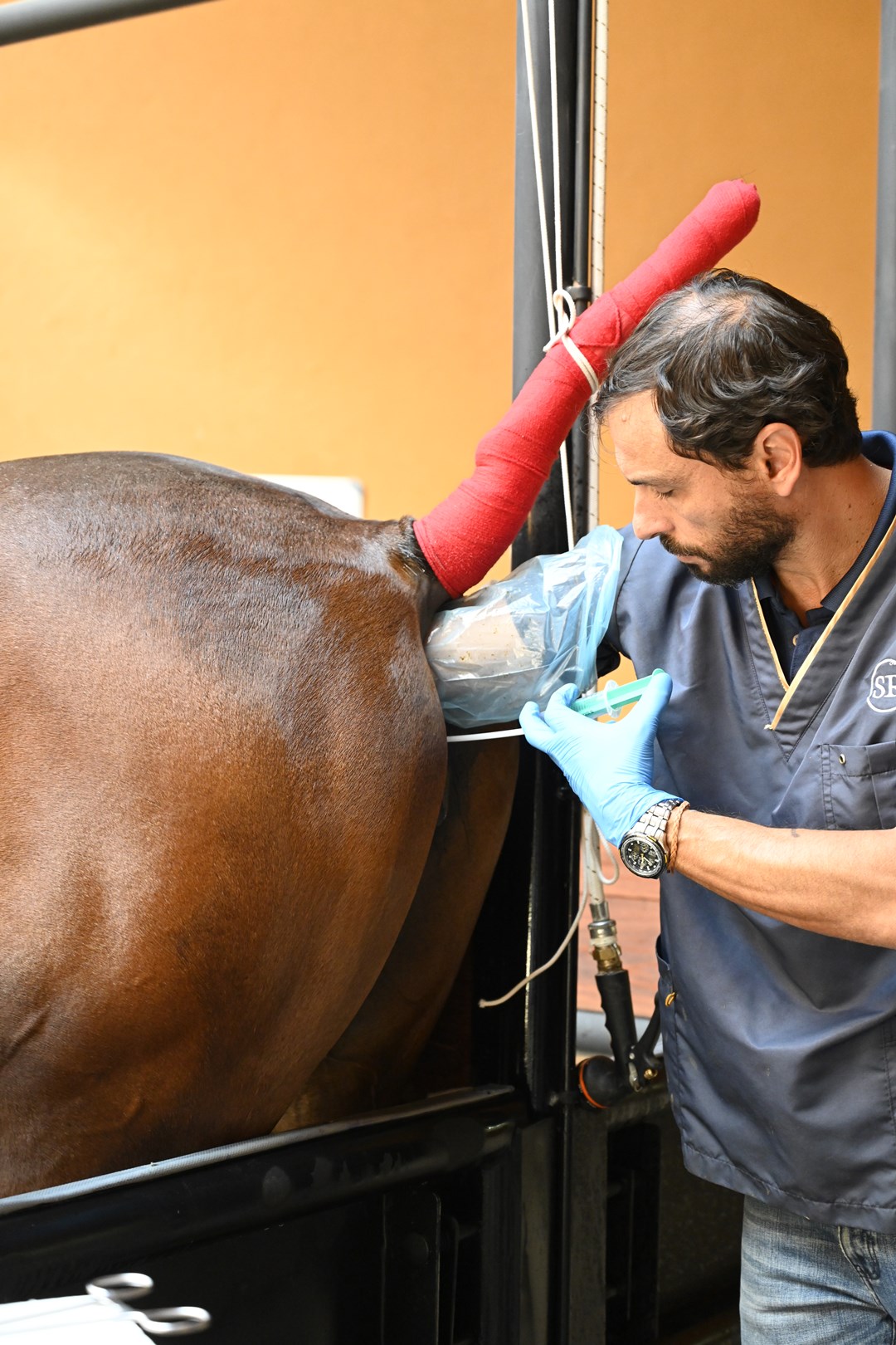 01_Inseminacion_Artificial_Reproduccion_Equino_Rancho_Santa_Rosa_Web_2025