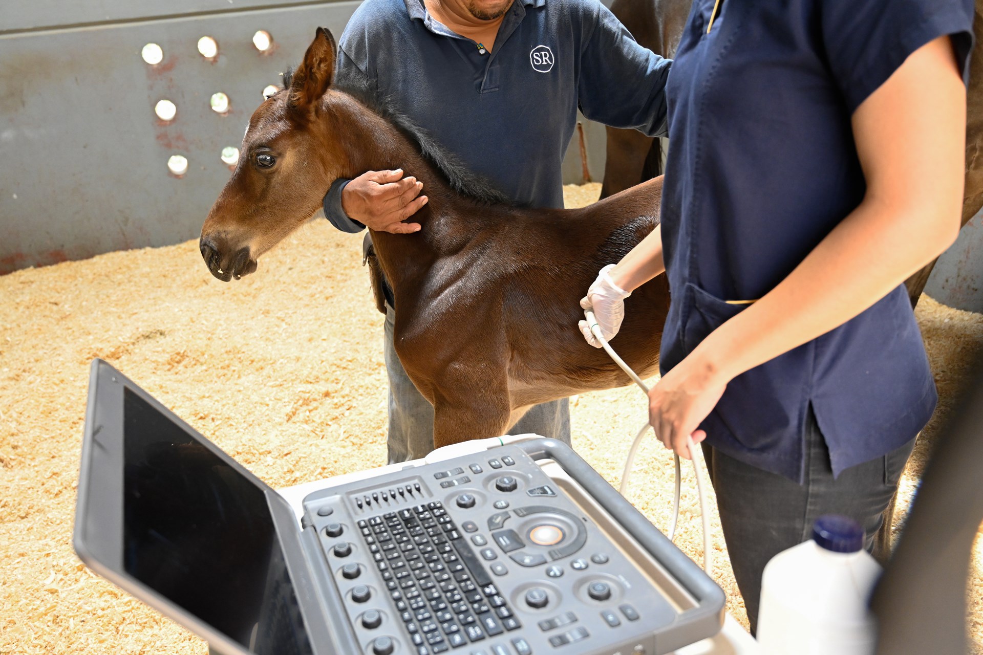 01_Neonatologia_Centro_Medico_Equino_Rancho_Santa_Rosa_Web_2025