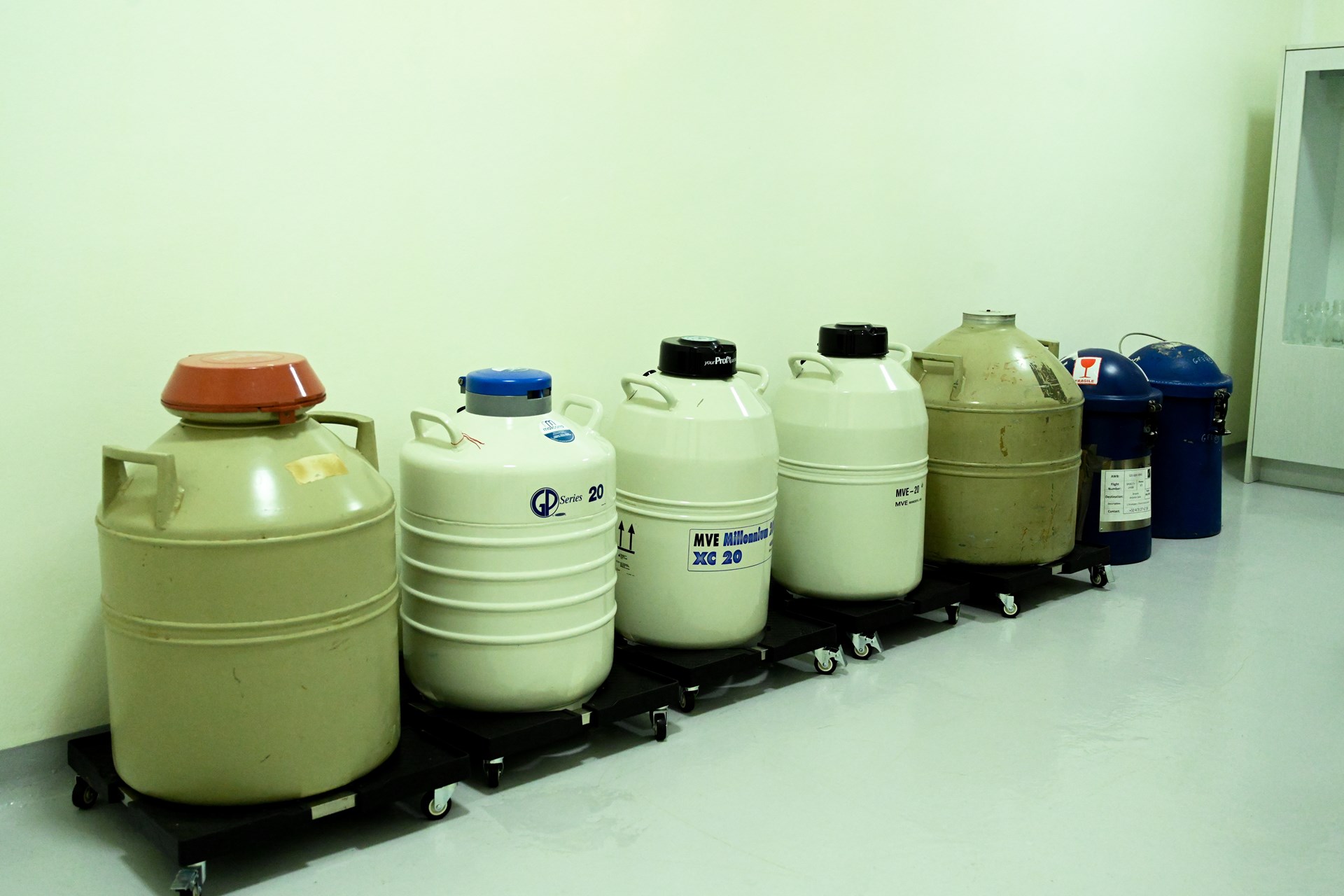 01_Venta_de_Semen_Reproduccion_Equino_Rancho_Santa_Rosa_Web_2025