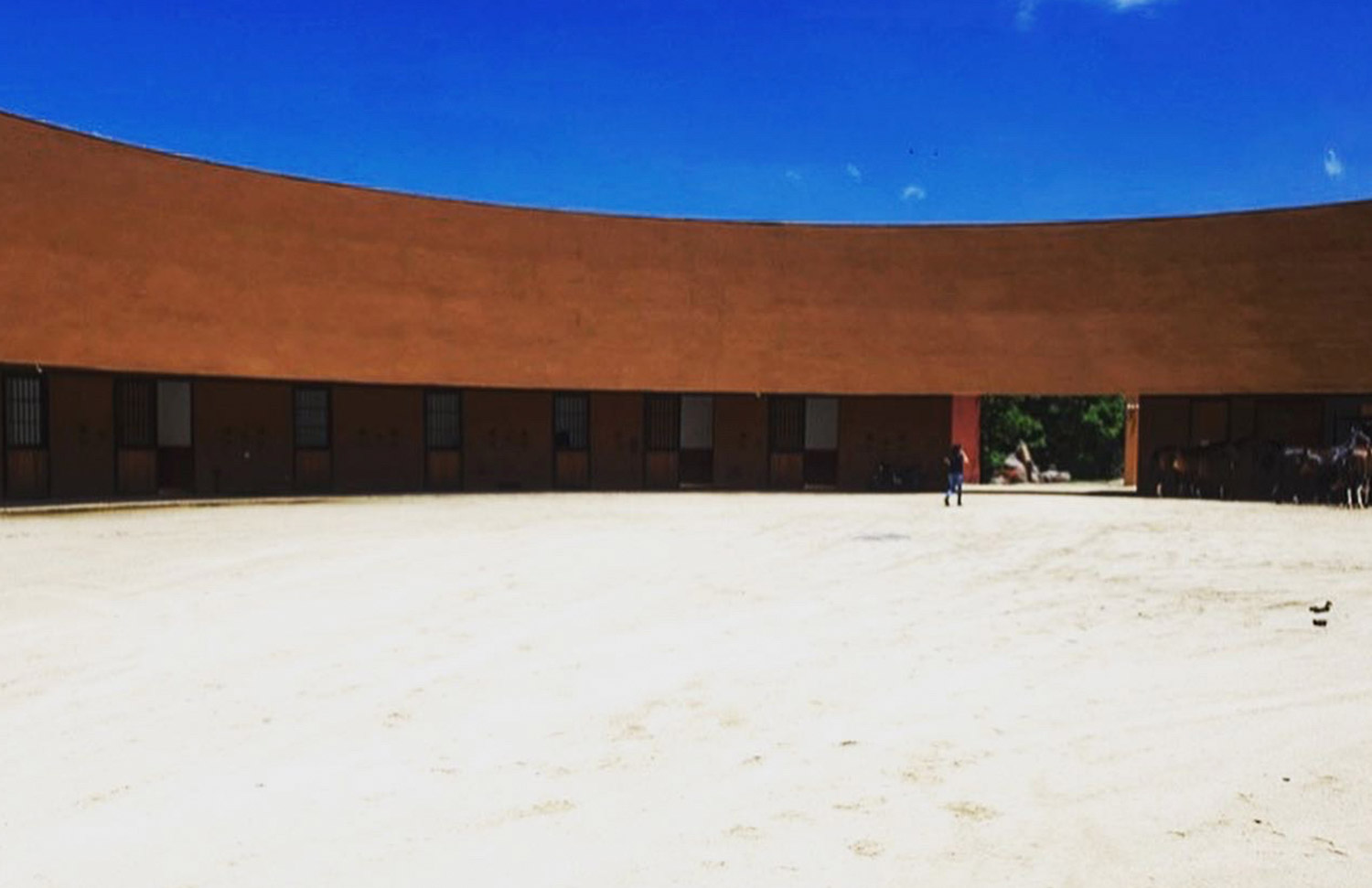 03 Hipico Rancho Santa Rosa Web Galeria Gallery Web 2025