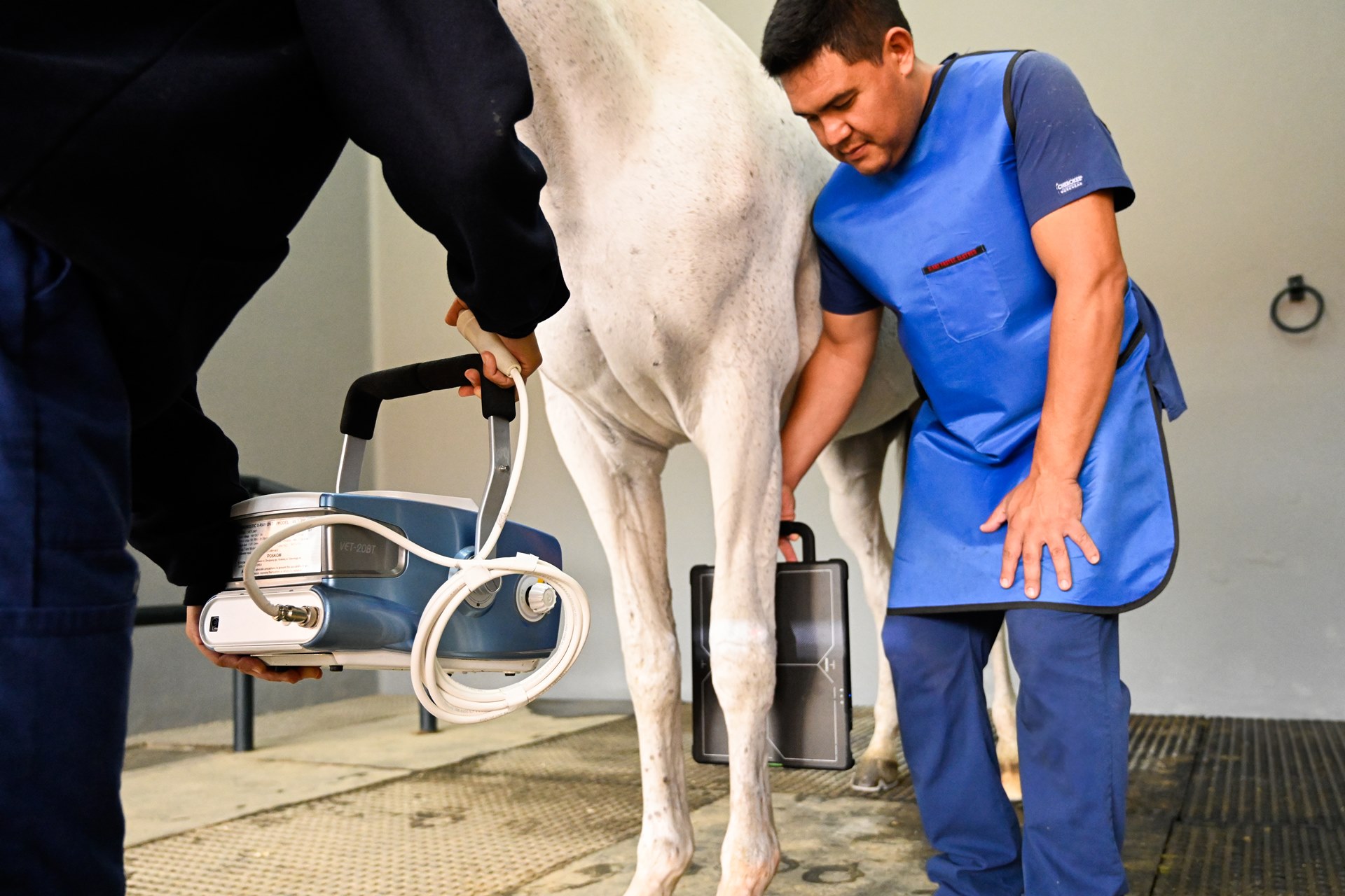 03_Imagenologia_Centro_Medico_Equino_Rancho_Santa_Rosa_Web_2025