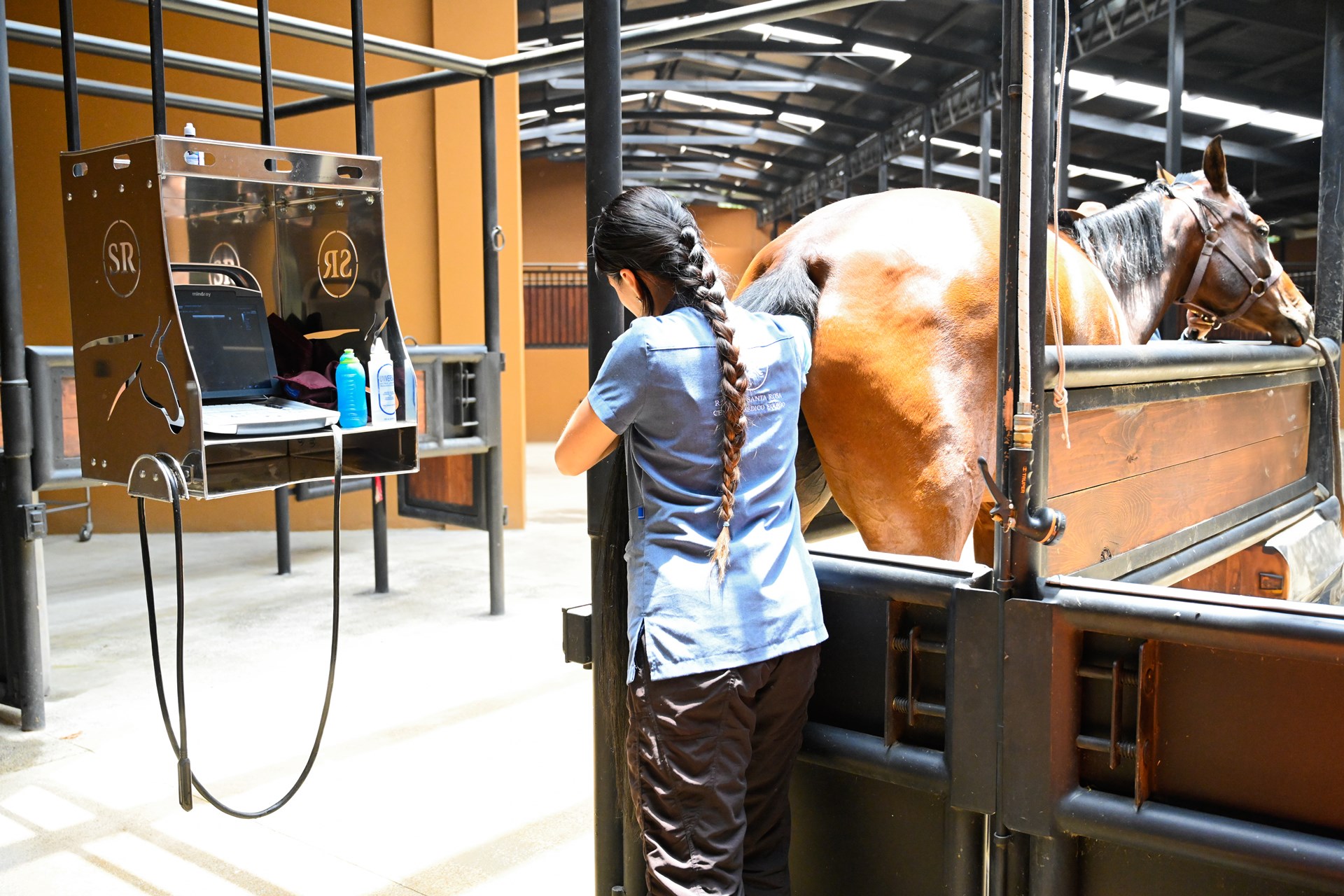 03_Inseminacion_Artificial_Reproduccion_Equino_Rancho_Santa_Rosa_Web_2025