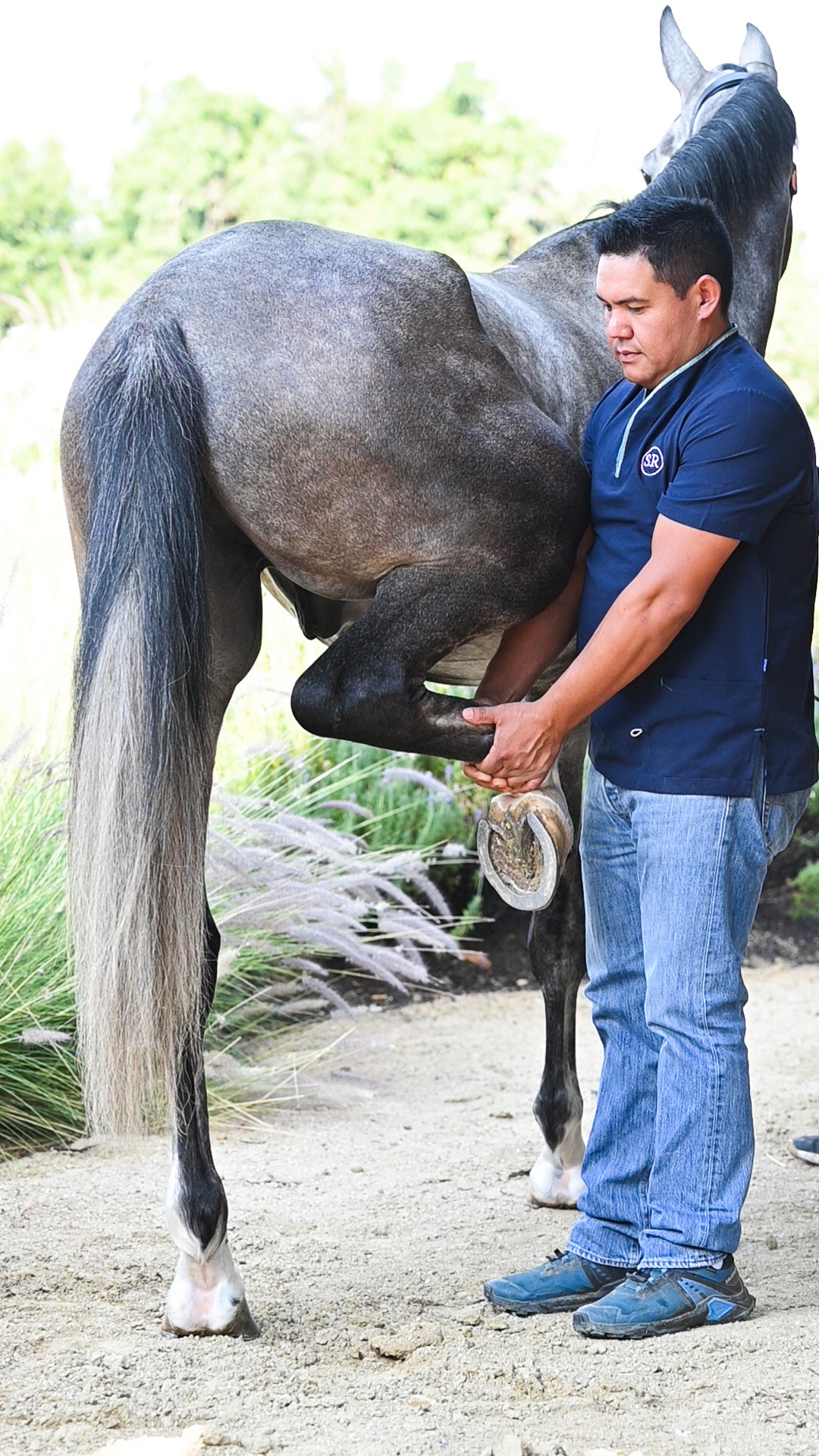03_Medicina_Deportiva_Centro_Medico_Equino_Rancho_Santa_Rosa_Web_2025