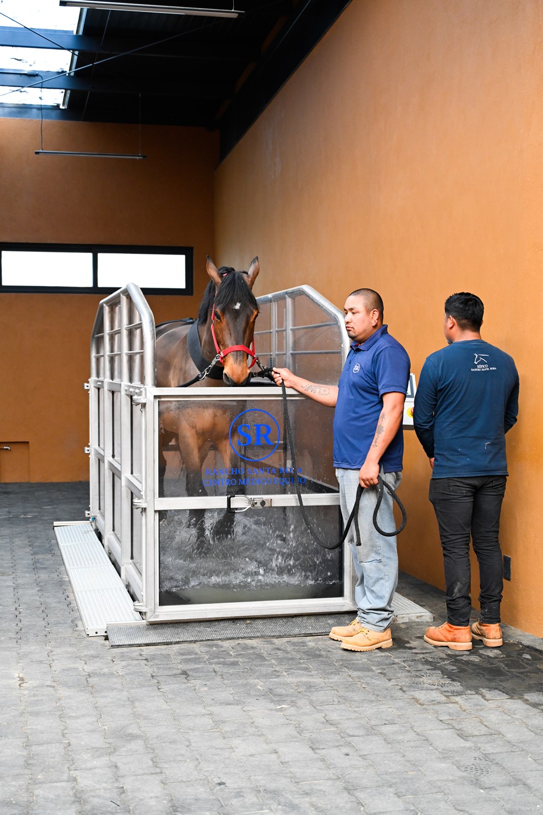 03_Rehabilitacion_Centro_Medico_Equino_Rancho_Santa_Rosa_Web_2025