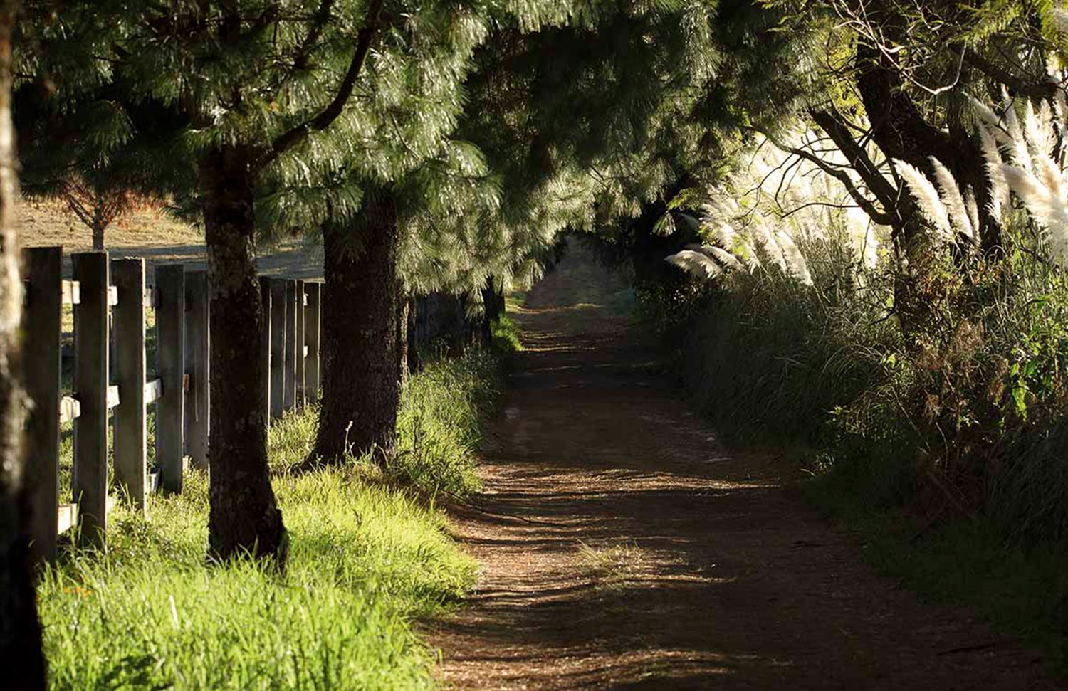 05 Gallery Galeria Rancho Santa Rosa Pag Web 2025