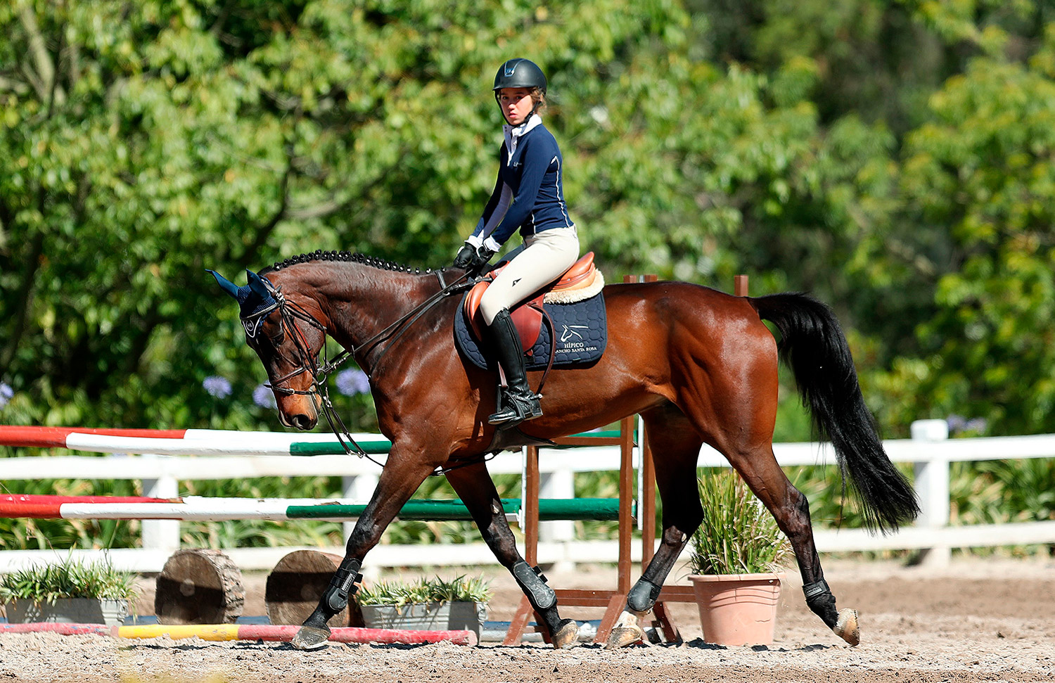 07 Evento Gallery Galeria Hipico Web 2025