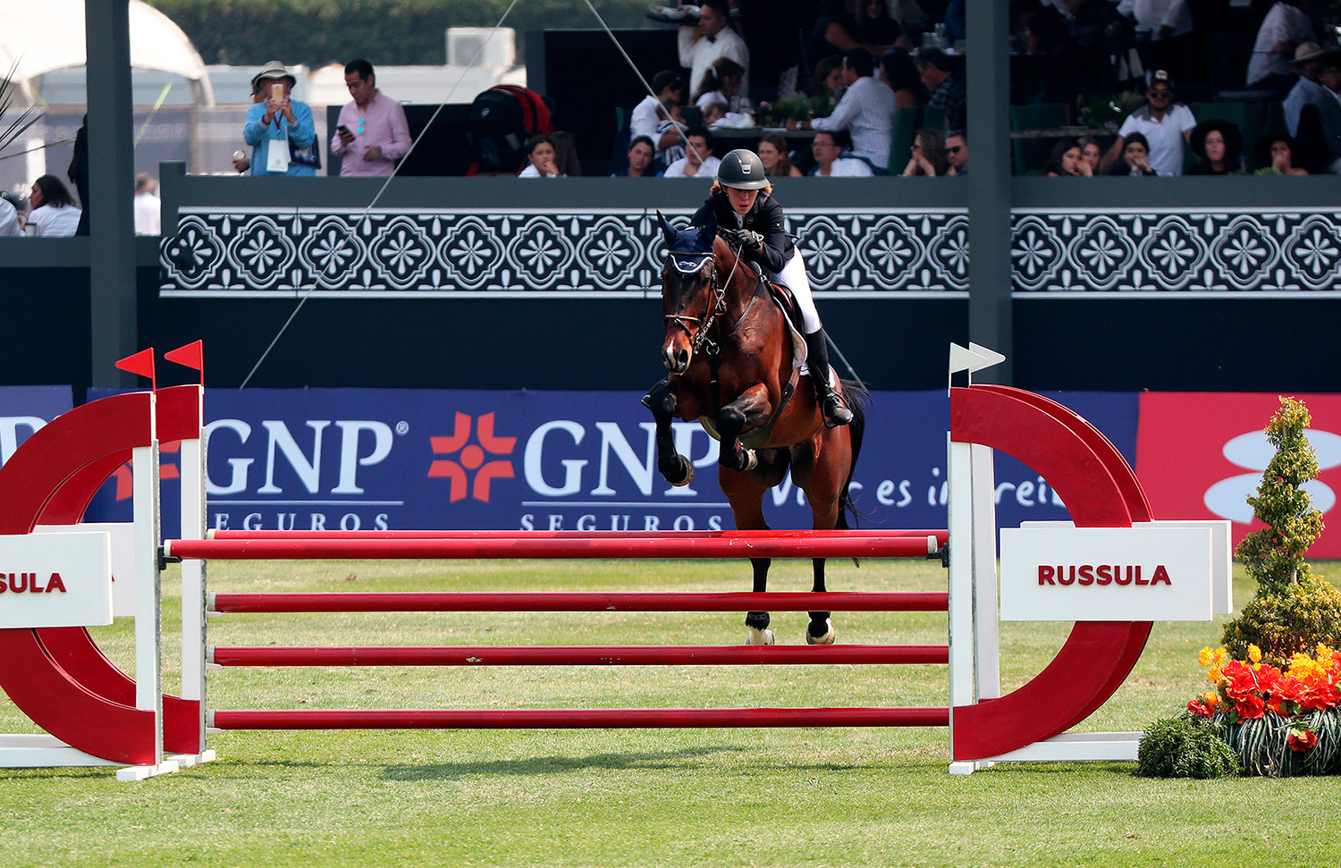 09 Evento Gallery Galeria Hipico Web 2025