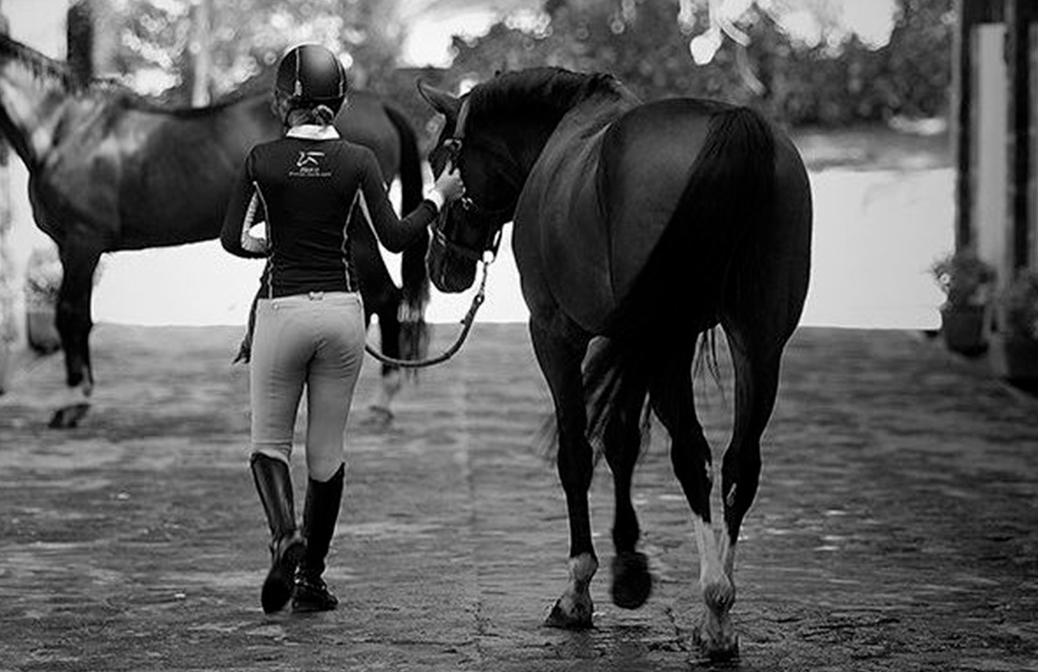 09 Hipico Rancho Santa Rosa Web Galeria Gallery Web 2025