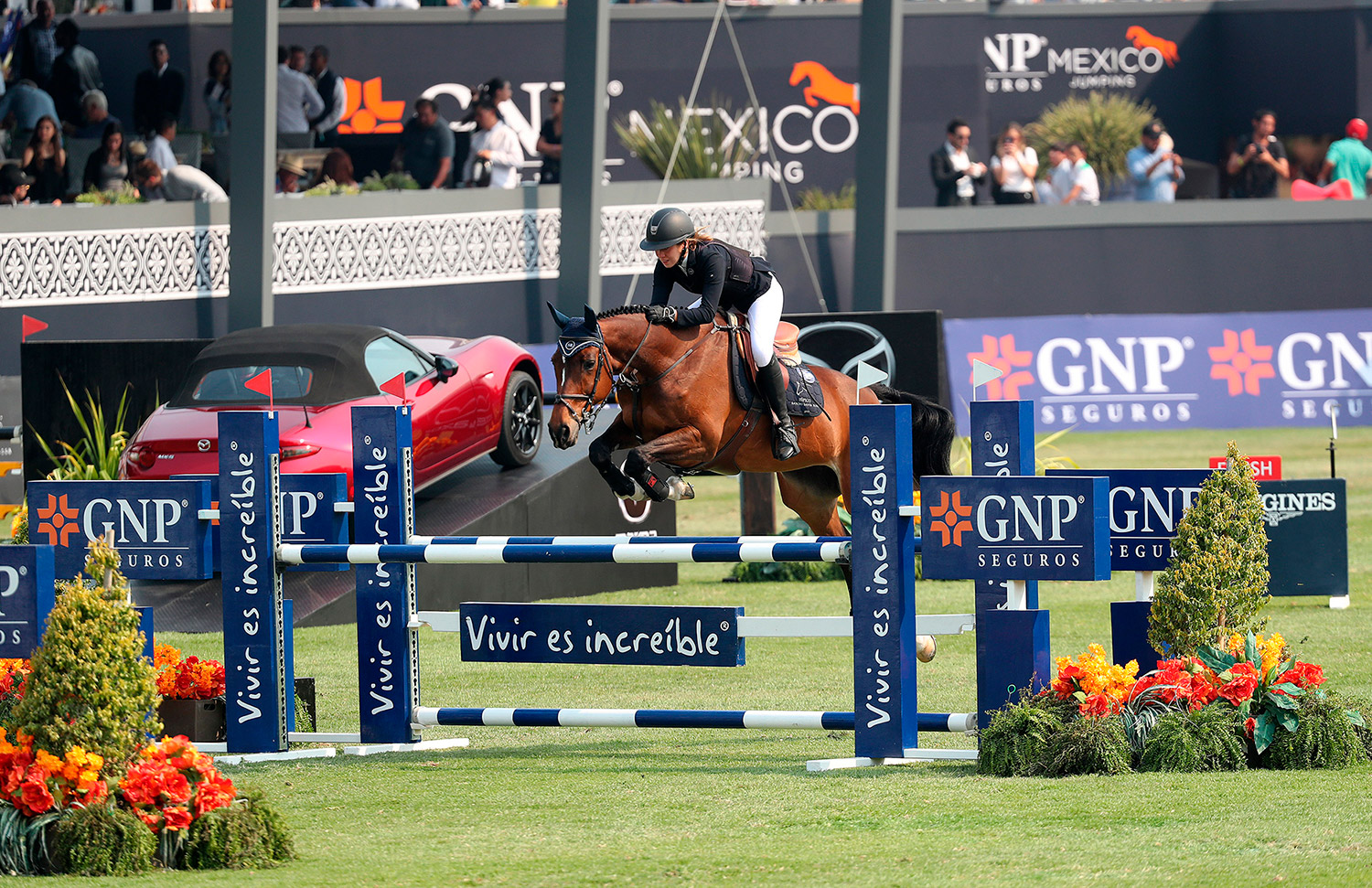 10 Evento Gallery Galeria Hipico Web 2025