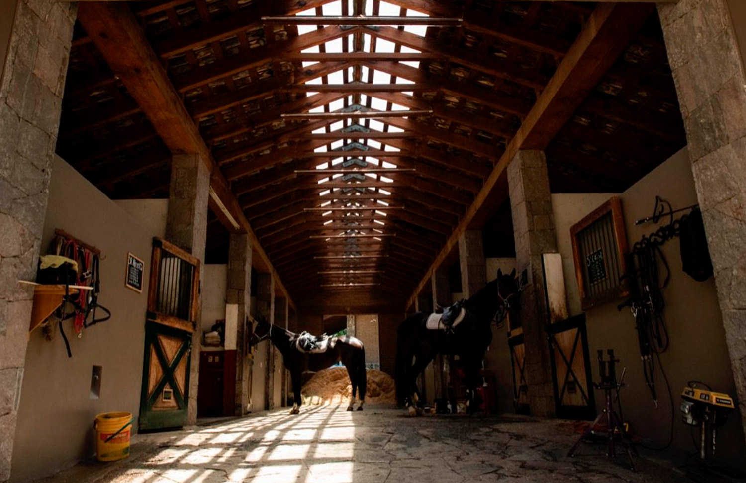 14 Hipico Rancho Santa Rosa Web Galeria Gallery Web 2025