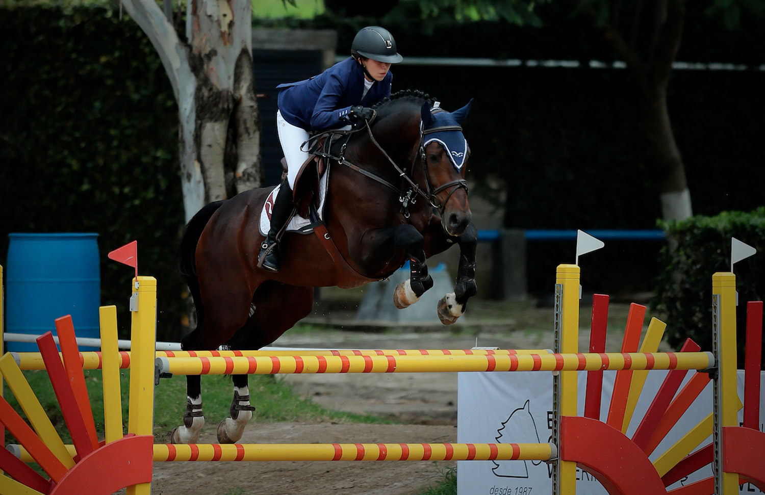 15 Evento Gallery Galeria Hipico Web 2025