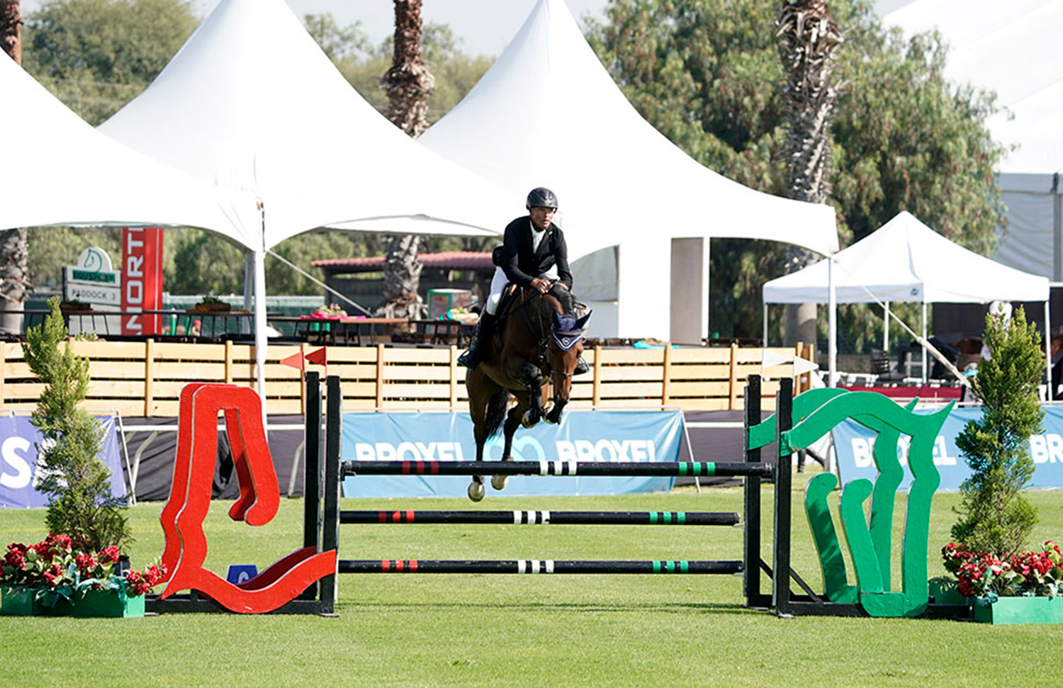 18 Evento Gallery Galeria Hipico Web 2025