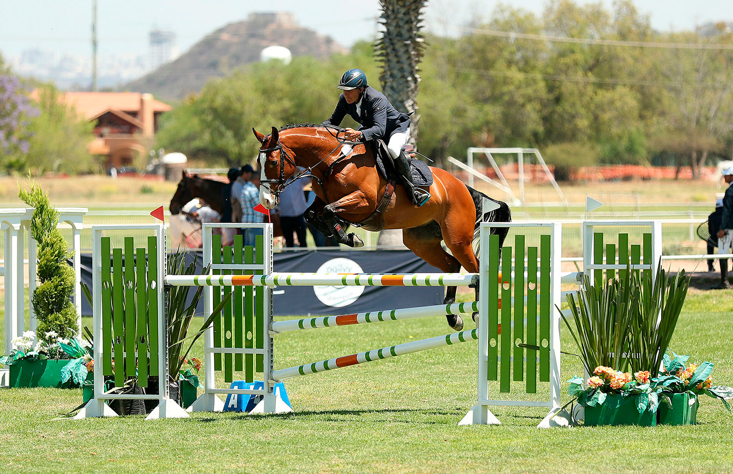 20 Evento Gallery Galeria Hipico Web 2025