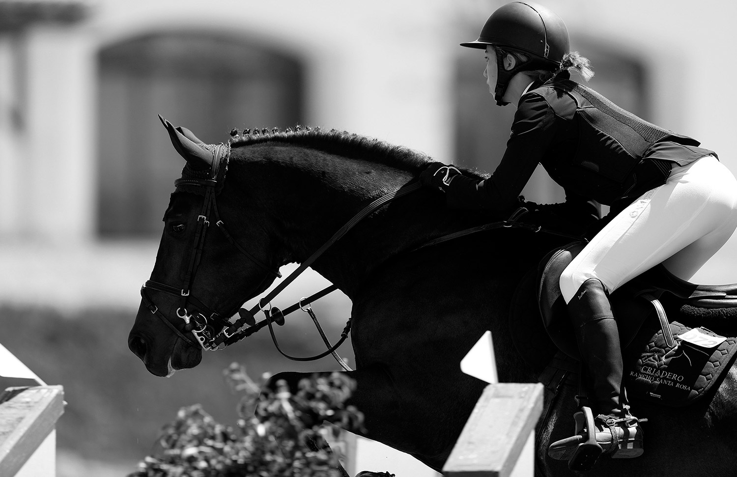 21 Evento Gallery Galeria Hipico Web 2025